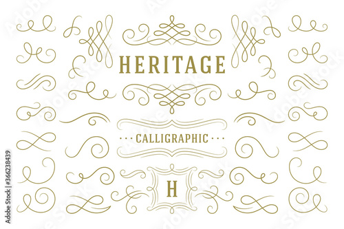 Calligraphic design elements vintage ornaments swirls and scrolls ornate decorations vector design elements. photo