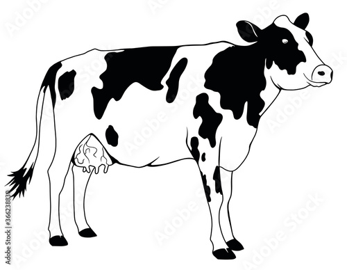 Vector illustration in cartoon flat style.