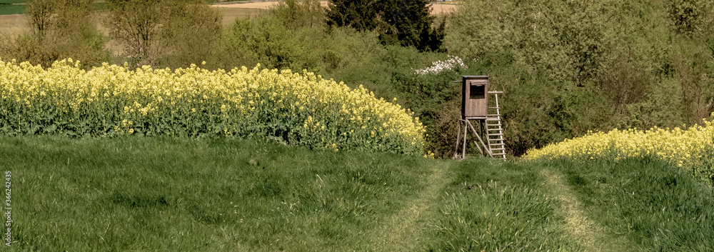 Φωτογραφία Spring landscape, farmland, Germany - A yellow rapeseed field and a hunter's seat on a sunny day in April
