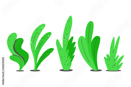Bush and grass vector cartoon set isolated on a white background.