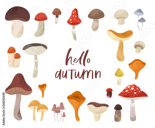 Autumn hand drawn big vector set of various types of mushrooms. Colored trendy edible forest food illustration with texture. Perfect for recipe, menu, label, packaging, poster, wrapping paper