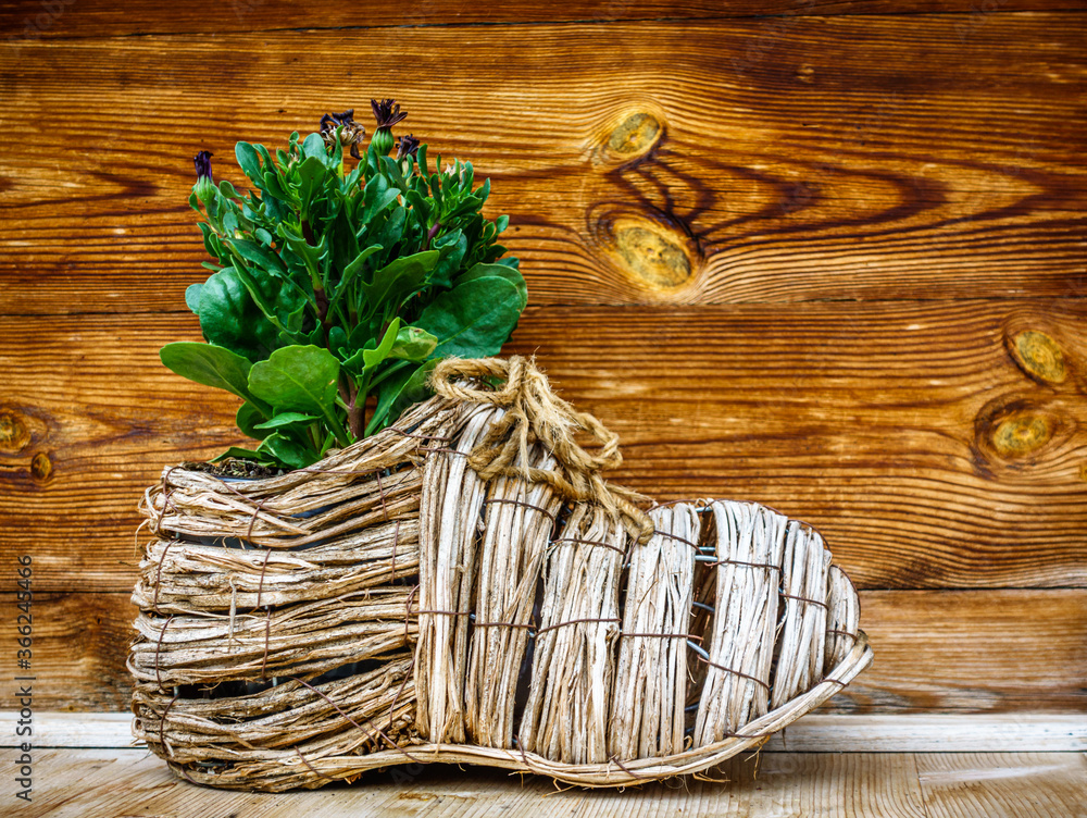 Obraz premium rustic flower decoration