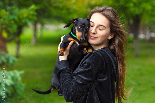 dachshund. in the garden, a girl hugs her beloved dachshund dog