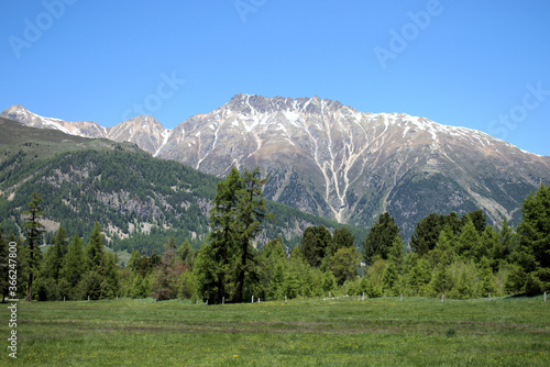 Berglandschaft im Engadin in der Schweiz 27.5.2020