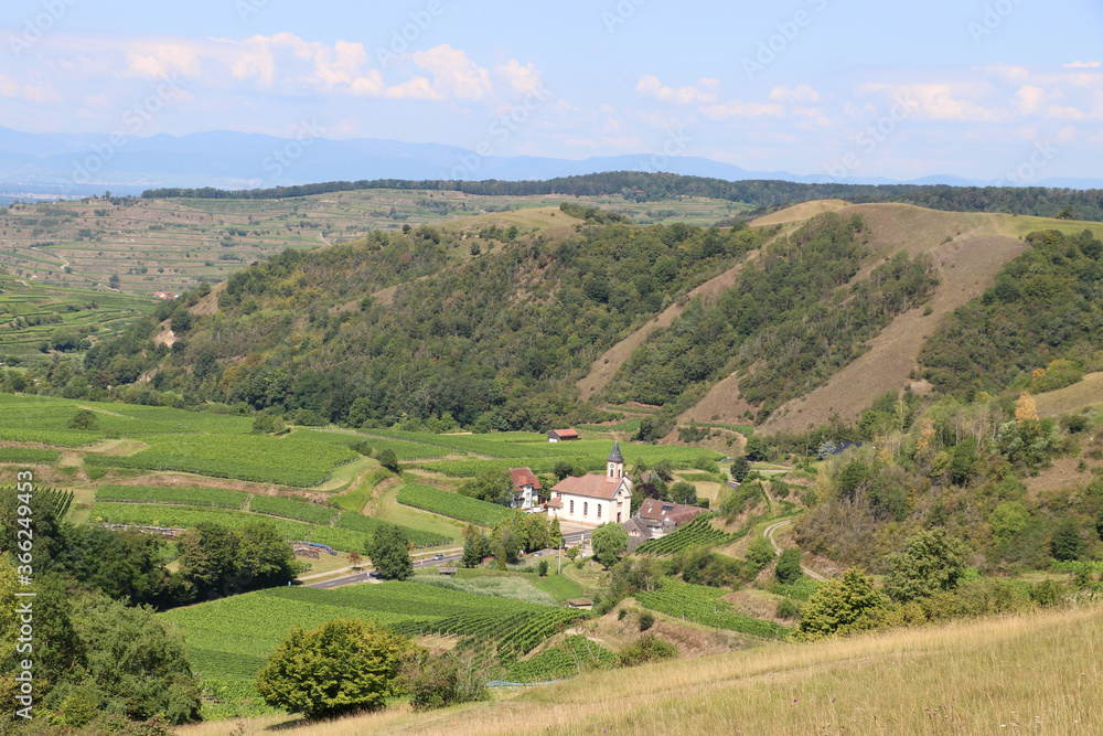 Kaiserstuhl im Breisgau im Rheingraben