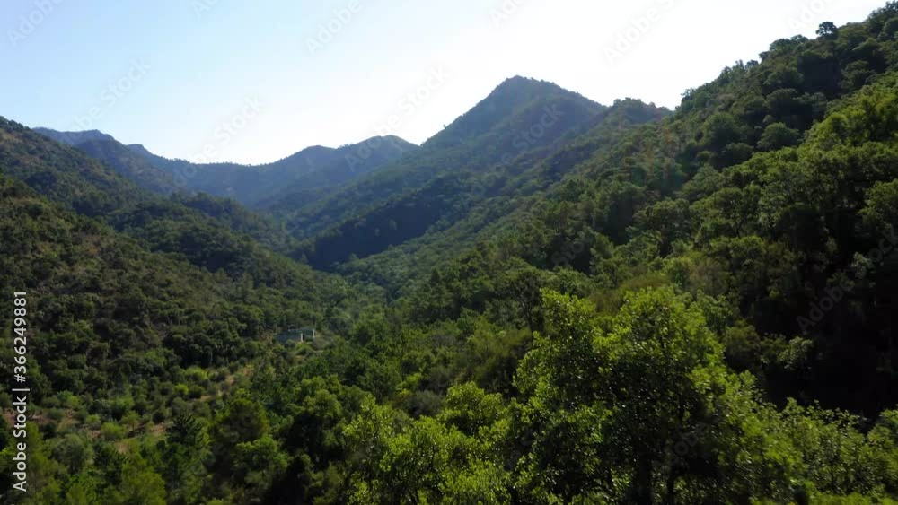 cork oak natural area of Mosquera alto palancia spain mditerranean aerial view cork oak natural area of Mosquera alto palancia spain mditerranean aerial view