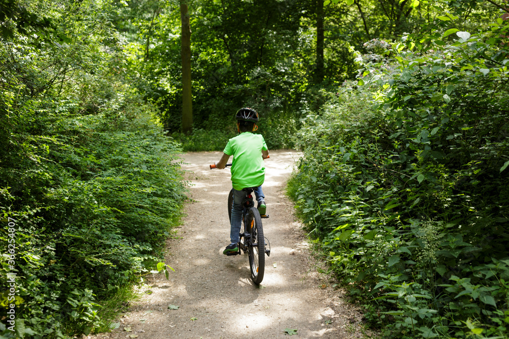 Fototapeta premium one nine-year-old boy riding a bicycle down a dirt road in a lush green park