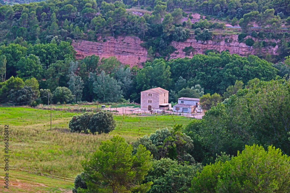 paisaje de campo con una casa entre cultivos verdes