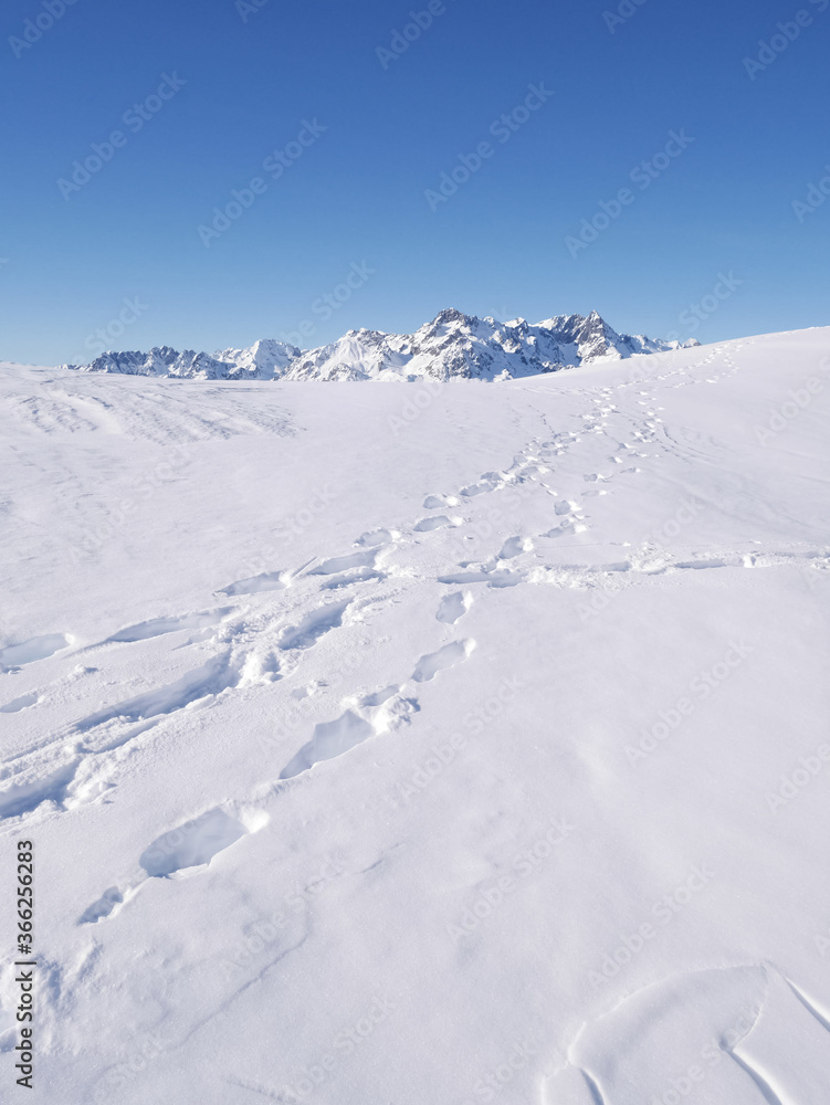 Footsteps toward the snowy mountain