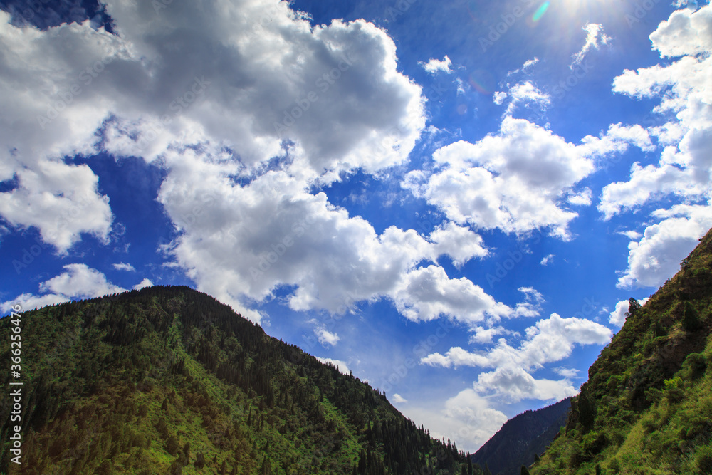 Green tops of mountains with trees against a blue sky. Summer mountain landscape. Tourism and travel.