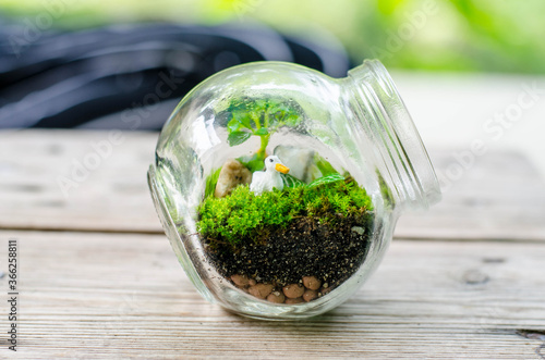 mini plant in a glass jar for your design