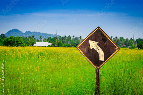 turn left road sign in the field and bluesky