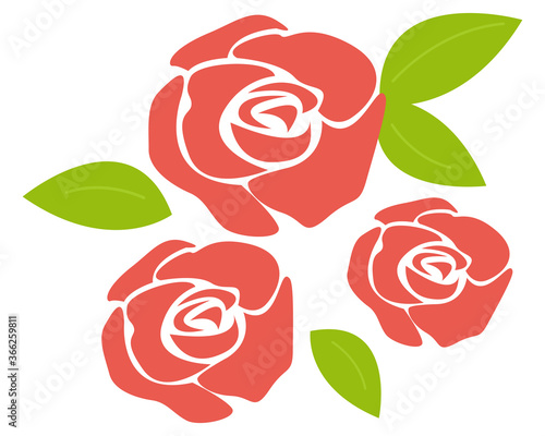 ピンクのバラの花のベクターイラスト
