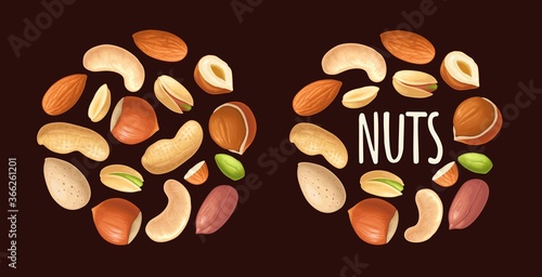 Set hazelnut, peanut, almond, cashew, pistachio. Vector realistic icon nut