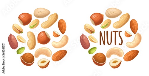 Set hazelnut, peanut, almond, cashew, pistachio. Vector realistic icon nut