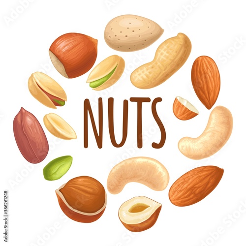 Set hazelnut, peanut, almond, cashew, pistachio. Vector realistic icon nut