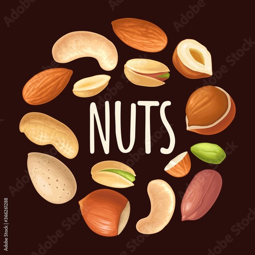 Set hazelnut, peanut, almond, cashew, pistachio. Vector realistic icon nut
