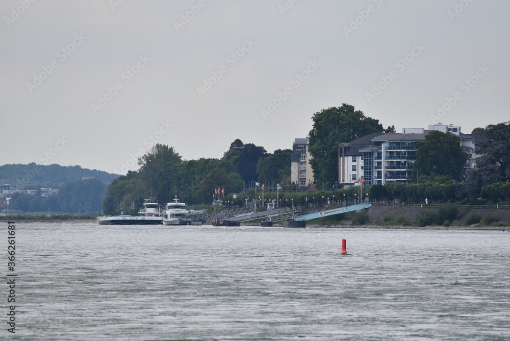 Obraz premium Aussicht vom Rhein