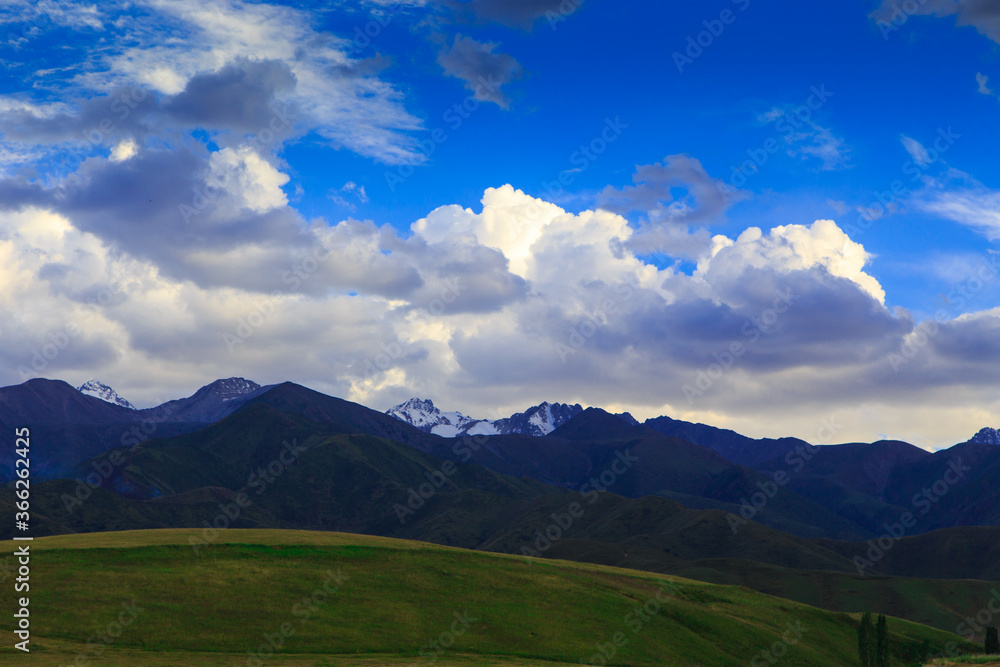 Naklejka premium Beautiful spring and summer landscape. Lush green hills. Spring blooming herbs.