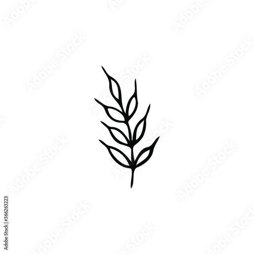 Single vector doodle element isolated on white background. Wheat
