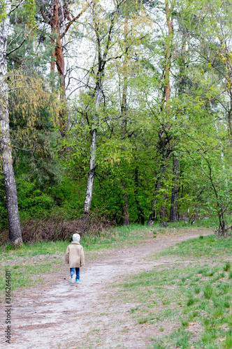 walking toddler in the woods