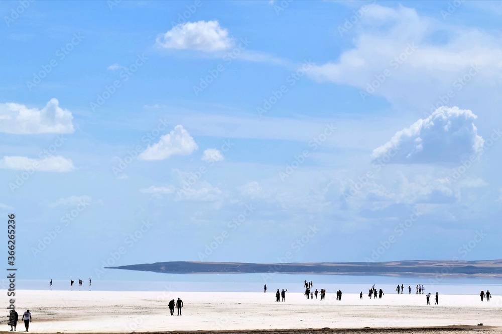 beach and sea