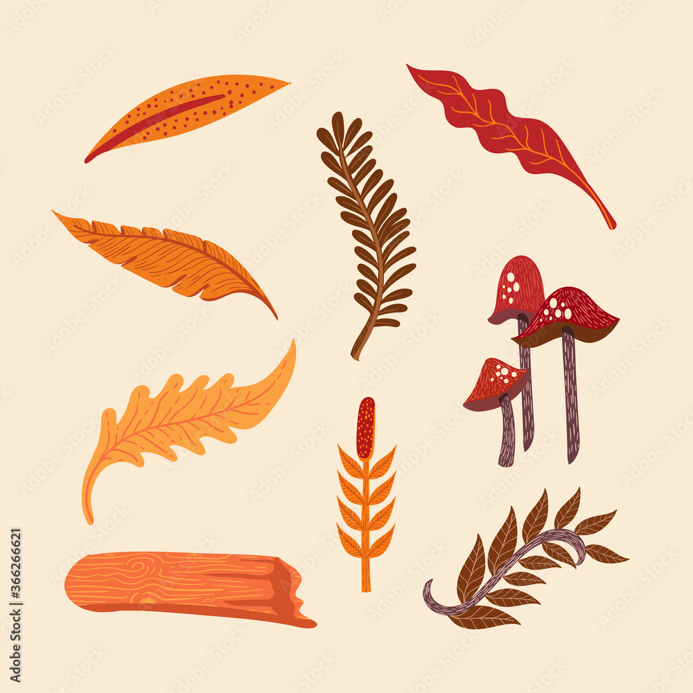 AUTUMN NATURE AUTUMN NATURE