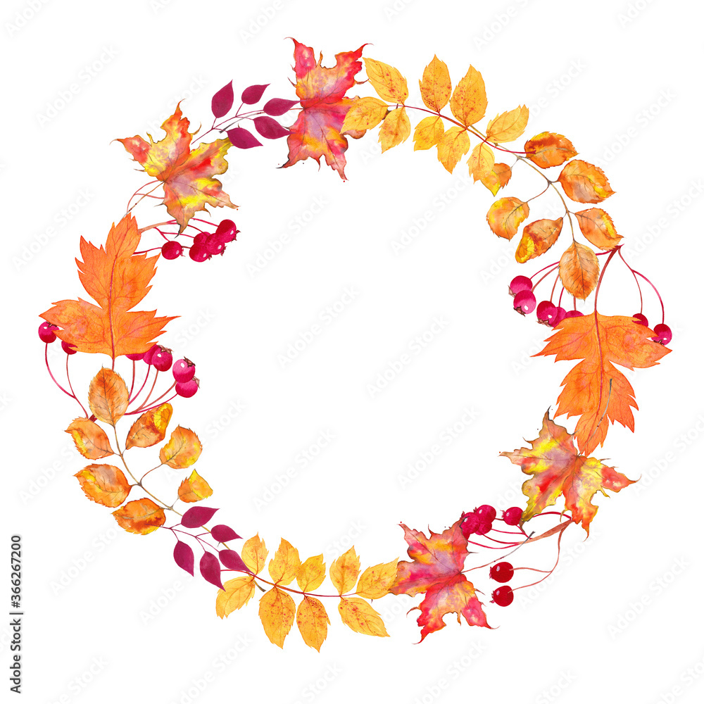 Watercolor wreath of autumn leaves and berries . Beautiful round wreath of yellow and red leaves, berries, branches. 