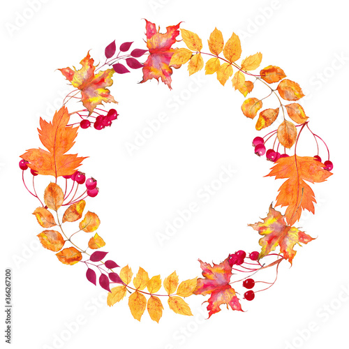 Watercolor wreath of autumn leaves and berries . Beautiful round wreath of yellow and red leaves  berries  branches. 