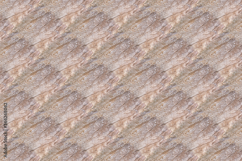 Obraz premium wood tree timber background texture pattern backdrop