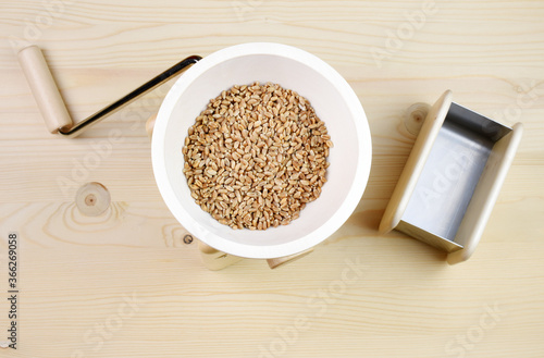 A small grain grinder on a wooden background. Traditional wheat and grain grinder used to grind grain and make flour of wheat and rice. Czech Republic, Europe. photo