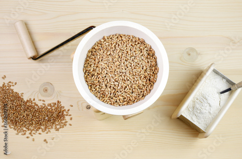 A small grain grinder on a wooden background. Traditional wheat and grain grinder used to grind grain and make flour of wheat and rice. Czech Republic, Europe. photo