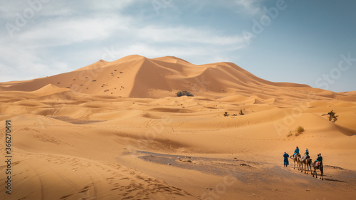 Erg Chebbi dune  Morocco