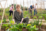 Portrait of female amateur gardener working with family in kitchen garden in springtime