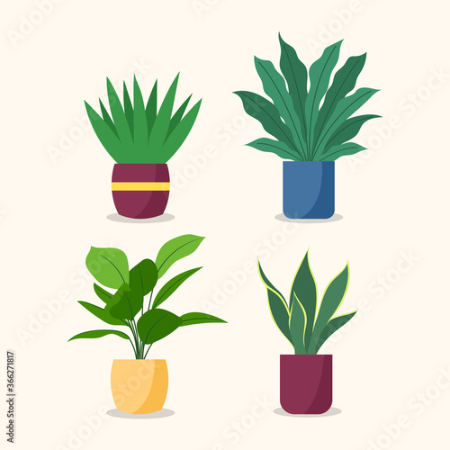 Decorative plants flat image design. Vector illustration