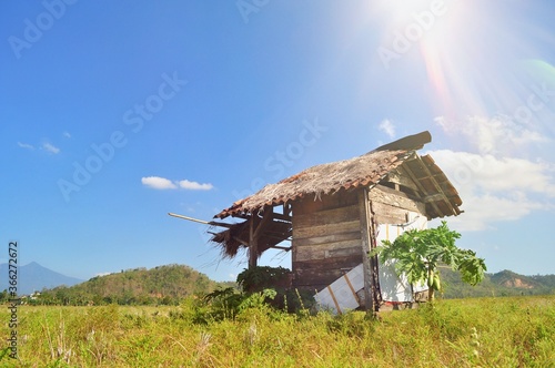 Gubuk or Rice field hut in the Indonesia farmland at summer season photo