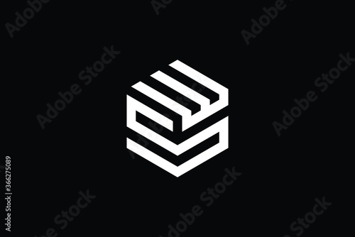 Bilde på lerret Minimal Innovative Initial WS logo and SW logo