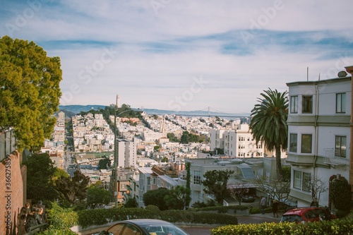 view of the city of san francisco california © Krista