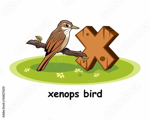 Xenops Bird Cartoon 3D Alphabet Wood Animals photo