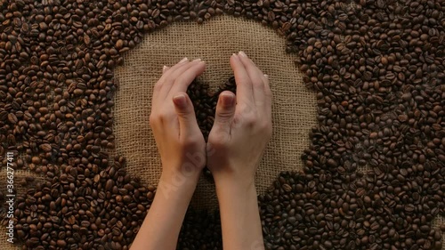 Woman's hands holding a heart shape coffee beans with care,enjoyment, and passion coffee. Concept for love of coffee and caffeine. Background with grains and burlap, flat lay