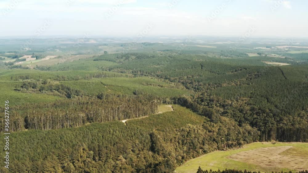 aérea de floresta com árvores, pinheiros, montanhas e céu azul em dia ensolarado aérea de floresta com árvores, pinheiros, montanhas e céu azul em dia ensolarado