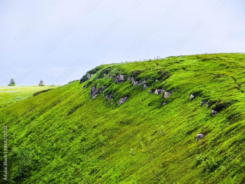 Obraz premium Polonyna Runa, Transcarpathian region. Mountains in spring and summer. Green hills and blue sky. Rocks and ruins in nature. Tourism and rest. Picturesque landscape of the Carpathians. Ukraine, Europe.