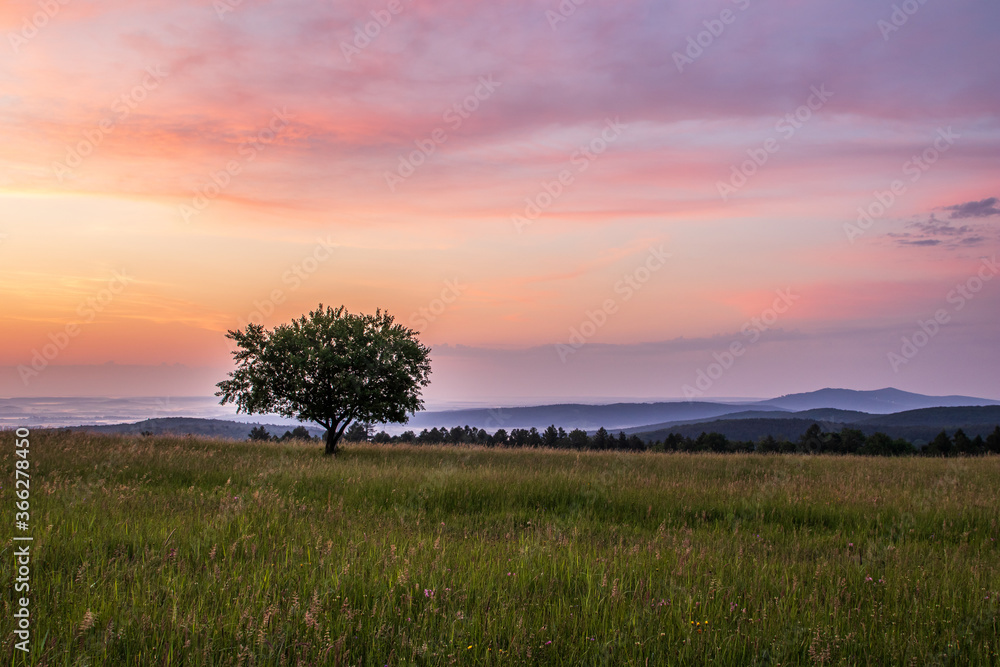 Obraz premium Sunset over the field