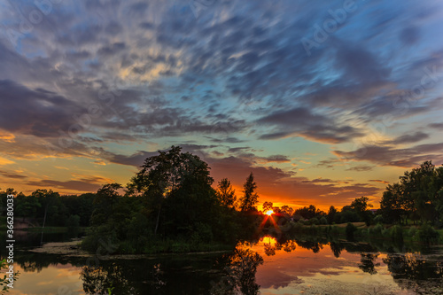 beautiful summer park and sunset