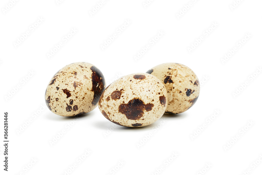 round raw quail eggs isolated on white background round raw quail eggs isolated on white background