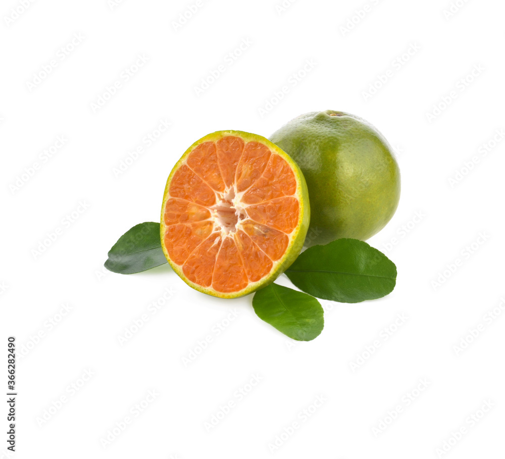 tangerine or mandarin fruit with leaves isolated on white background tangerine or mandarin fruit with leaves isolated on white background