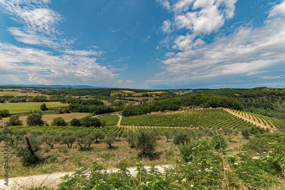 Blick über die Weinberge bei Monteriggioni in der Toskana in Italien 