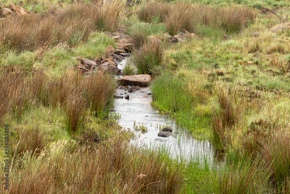 small river just out of Dullstroom, Mpumalanga, South Africa small river just out of Dullstroom, Mpumalanga, South Africa
