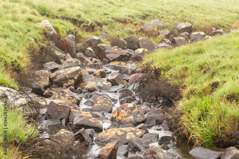small river just out of Dullstroom, Mpumalanga, South Africa small river just out of Dullstroom, Mpumalanga, South Africa