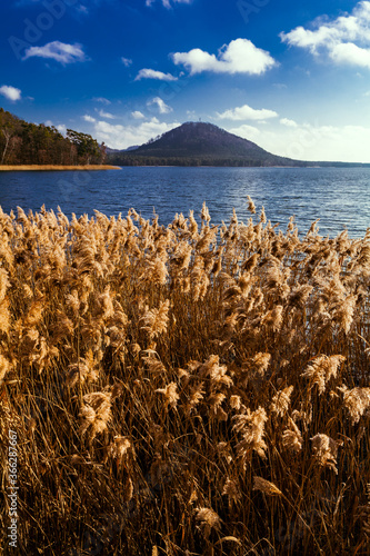 Lake in Czechia nature Machovo jezero  photo